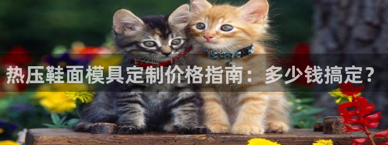 易倍单词官方网站