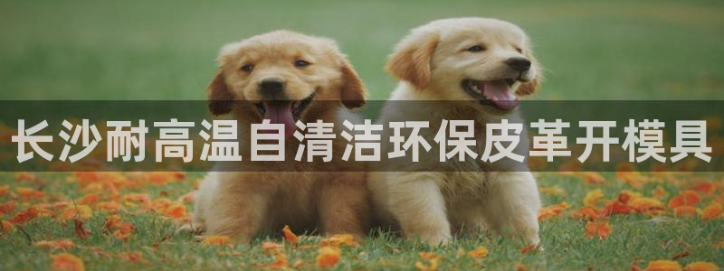 易倍EMC网址