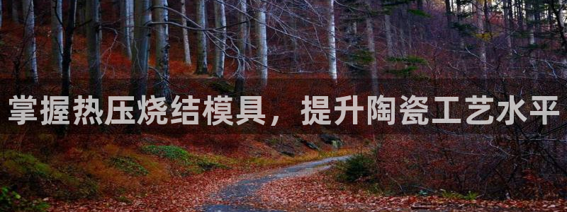 emc易倍首页：掌握热压烧结模具，提升陶瓷工艺水平