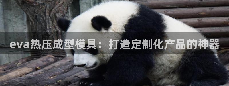 emc服务器是什么：eva热压成型模具：打造定制化产品的