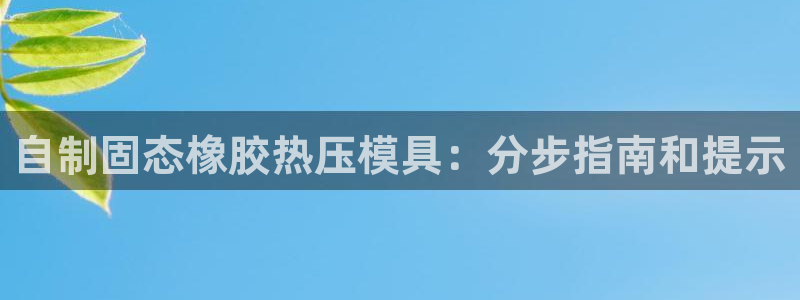 易倍达科技有限公司怎么样：自制固态橡胶热压模具：分步指南