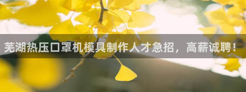易倍网络技术有限公司官网