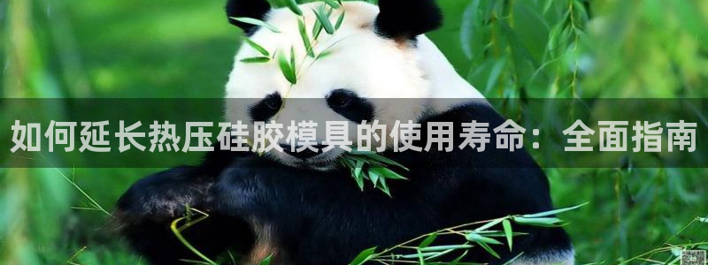 易倍单词官方网站下载安卓：如何延长热压硅胶模具的使用寿命