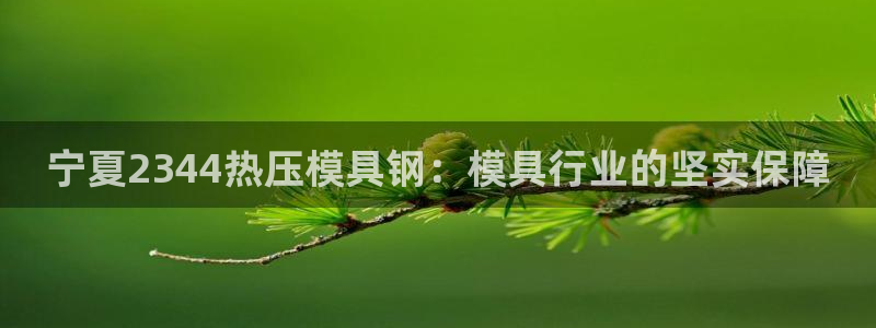 杭州易倍达科技有限公司怎么样