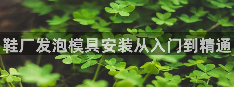 易倍英语官方网站登录