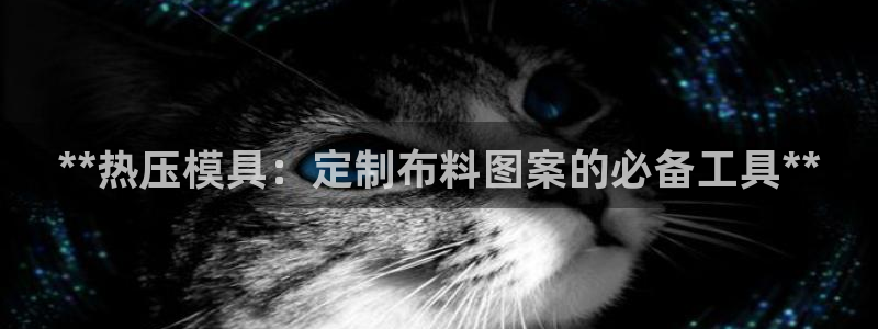 emc易倍在线登录：**热压模具：定制布料图案的必备工具