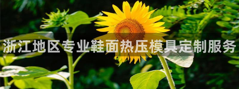 易倍申片能长期服用吗