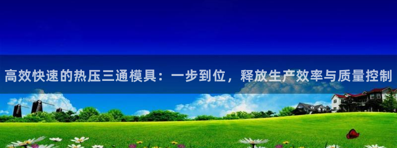 emc登录网站：高效快速的热压三通模具：一步到位，释放生