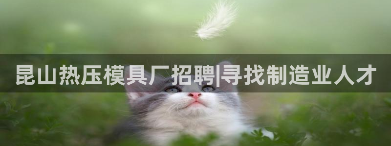 易倍纤代餐奶昔怎么样：昆山热压模具厂招聘|寻找制造业人才