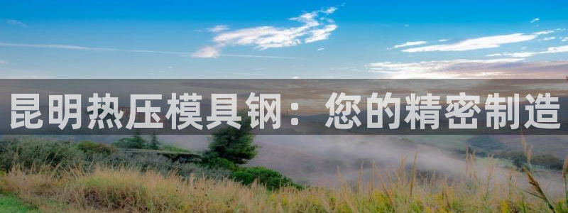 易倍纤官网：昆明热压模具钢：您的精密制造