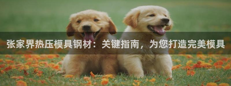 易倍达科技有限公司代运营
