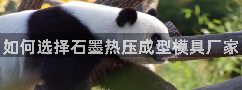 易倍达科技有限公司