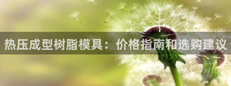 易倍达科技有限公司代运营