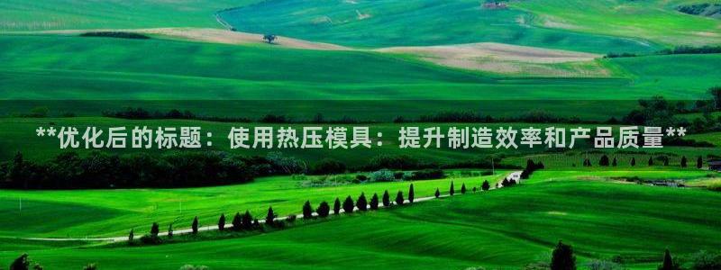 易倍纤多少钱：**优化后的标题：使用热压模具：提升制造效
