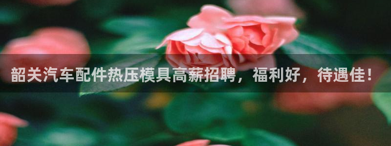 易倍电竞