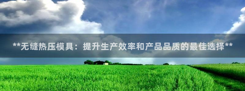 emc易倍官网app：**无缝热压模具：提升生产效率和产