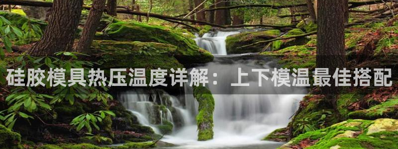 易倍达科技有限公司