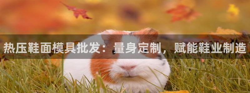 emc易贝体育怎么样
