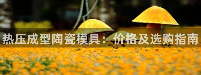 emc易倍官网app官网：热压成型陶瓷模具：价格及选购指