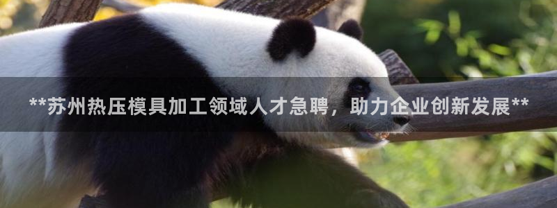 易倍emc全站：**苏州热压模具加工领域人才急聘，助力企