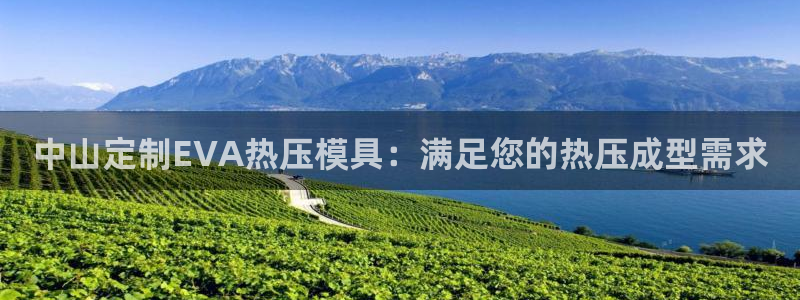 emc参数：中山定制EVA热压模具：满足您的热压成型需求