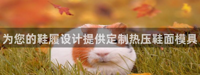 emc测试频率范围