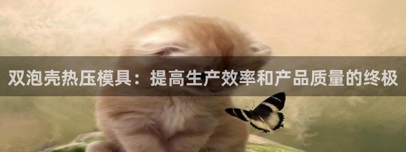 emc倍频超了：双泡壳热压模具：提高生产效率和产品质量的