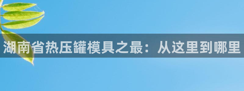 易倍网络技术有限公司：湖南省热压罐模具之最：从这里到哪里