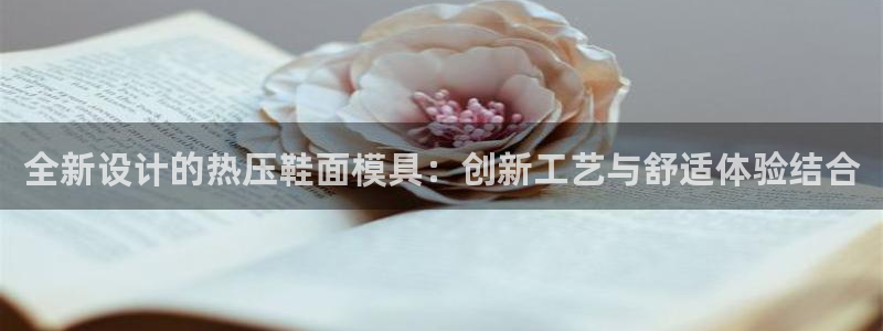 易倍电竞安装教程：全新设计的热压鞋面模具：创新工艺与舒适