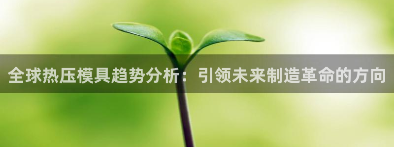 emc全站下载地址：全球热压模具趋势分析：引领未来制造革
