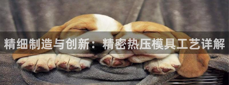 emc易倍怎么样：精细制造与创新：精密热压模具工艺详解