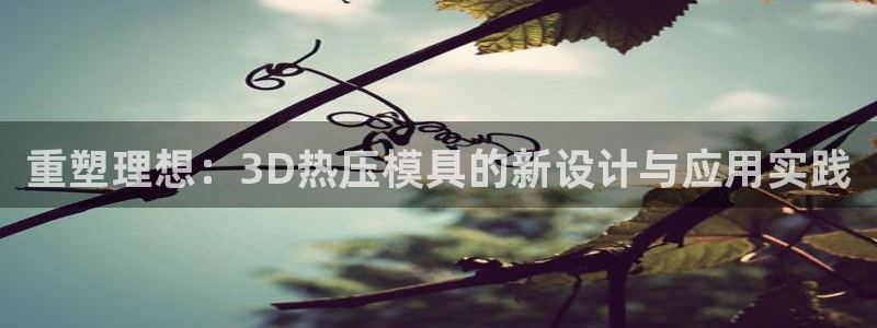 emc易倍网站是多少：重塑理想：3D热压模具的新设计与应