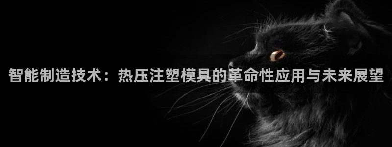 易倍思怎么样：智能制造技术：热压注塑模具的革命性应用与未