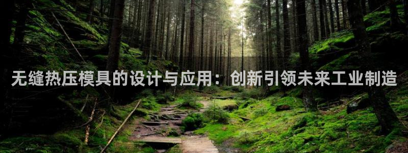 易倍申片：无缝热压模具的设计与应用：创新引领未来工业制造