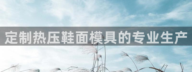 易倍电竞,有球必应：定制热压鞋面模具的专业生产