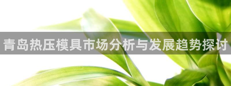 易倍emc网址