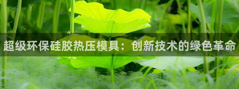 易倍纤奶昔减肥效果怎么样：超级环保硅胶热压模具：创新技术