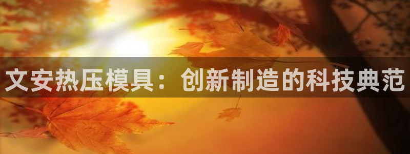 易倍app官网下载：文安热压模具：创新制造的科技典范