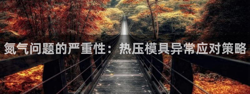 易倍申在中国成功上市：氮气问题的严重性：热压模具异常应对