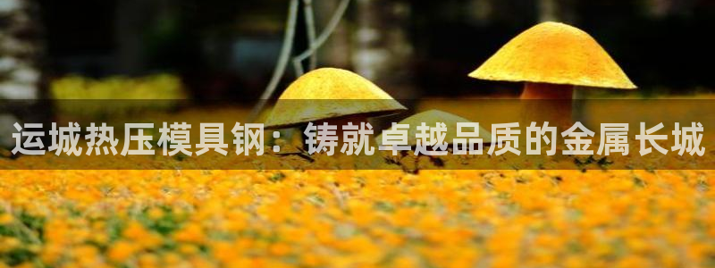 emc易倍官网app：运城热压模具钢：铸就卓越品质的金属