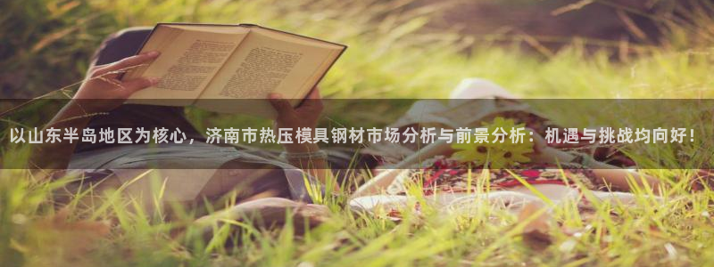 易倍申片：以山东半岛地区为核心，济南市热压模具钢材市场分