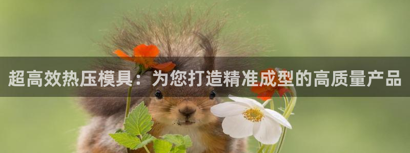 易倍达科技有限公司：超高效热压模具：为您打造精准成型的高