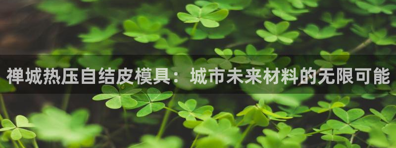 易倍申怎么样：禅城热压自结皮模具：城市未来材料的无限可能