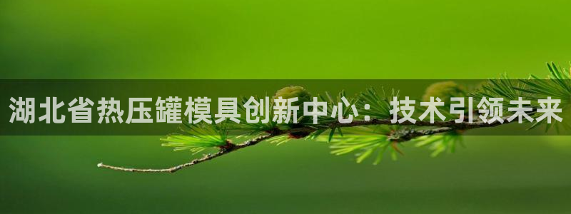 易倍网络技术有限公司怎么样：湖北省热压罐模具创新中心：技
