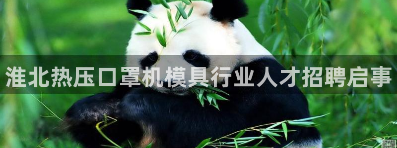 emc下载ios：淮北热压口罩机模具行业人才招聘启事