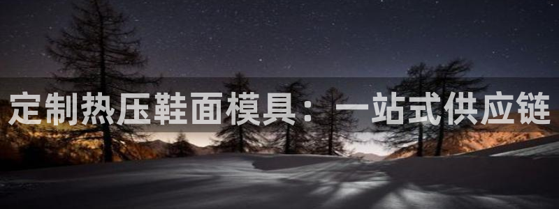 易倍单词如何下载：定制热压鞋面模具：一站式供应链