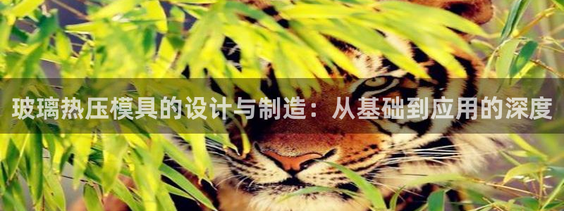 易倍纤代餐粉能减肥吗：玻璃热压模具的设计与制造：从基础到