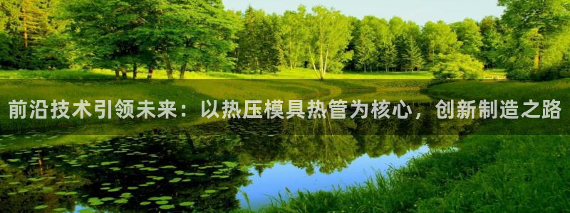 emc易倍的服务优势：前沿技术引领未来：以热压模具热管为