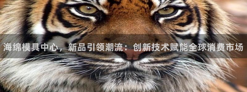 易倍电竞安装教程：海绵模具中心，新品引领潮流：创新技术赋