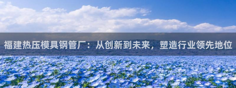 易倍emc安全吗：福建热压模具钢管厂：从创新到未来，塑造